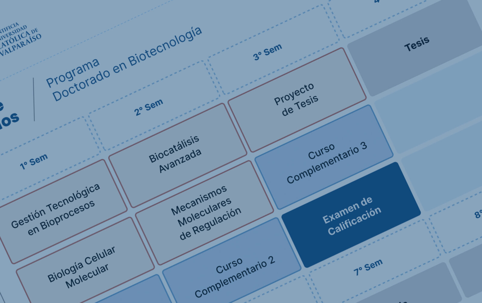 Malla Curricular
