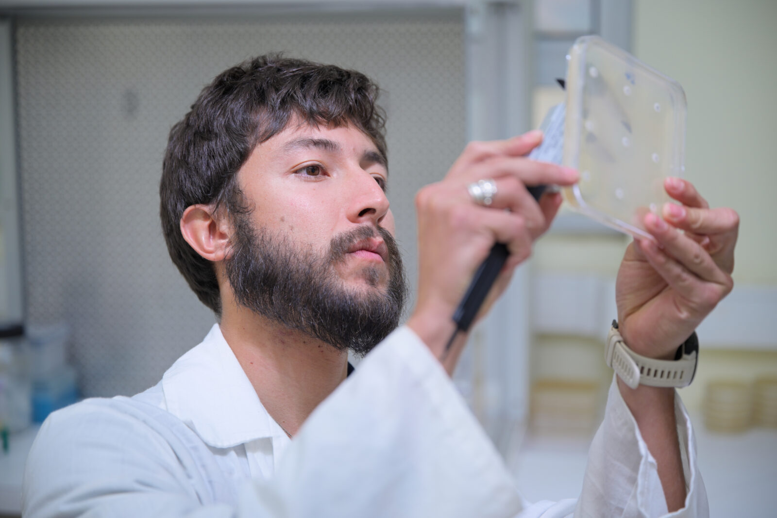 Magíster en Ciencias Microbiológicas
